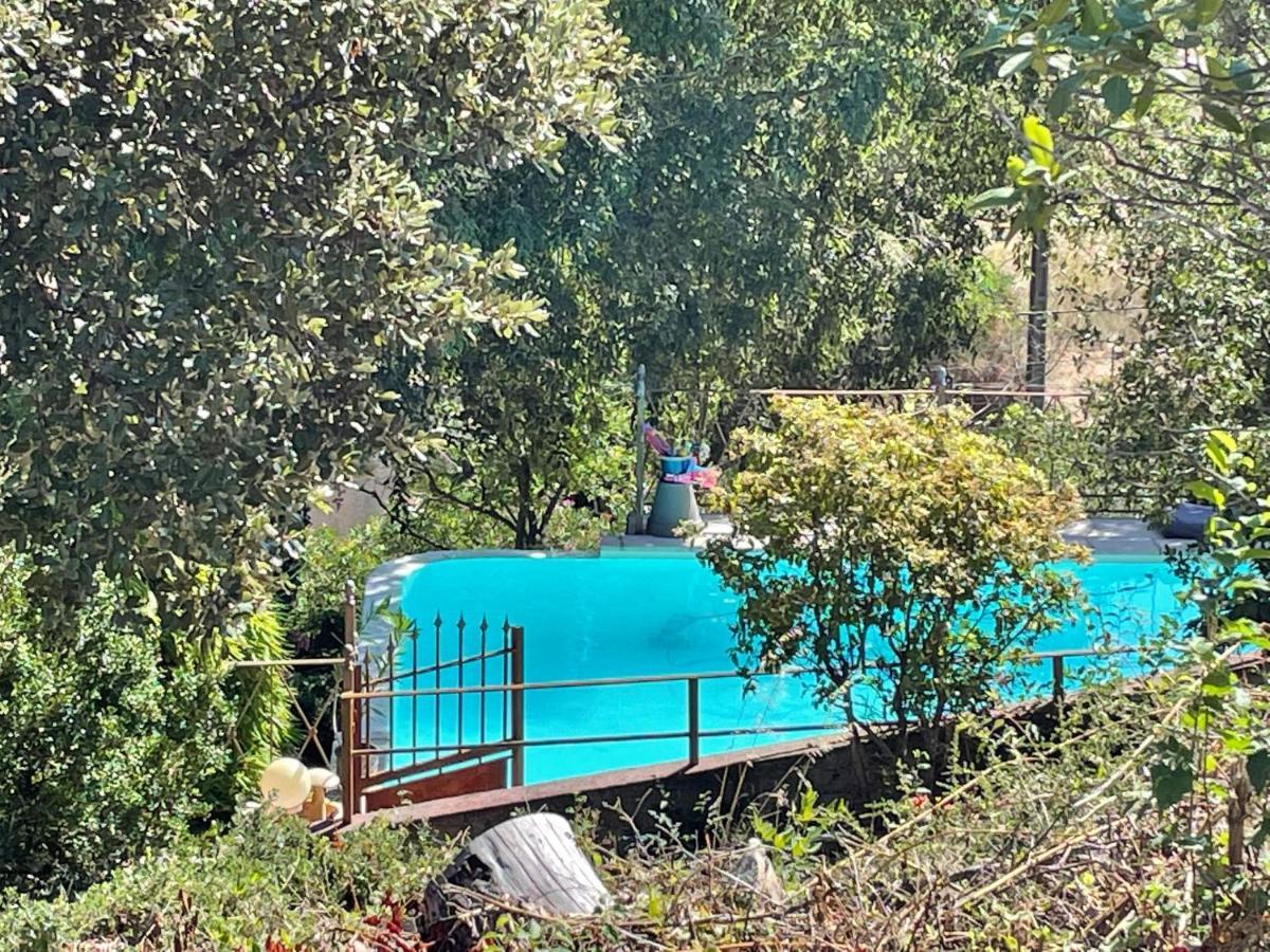 Jolie Annexe Du Mas Dans Le Coeur De La Garrigue Nimoise Villa Ним Екстериор снимка