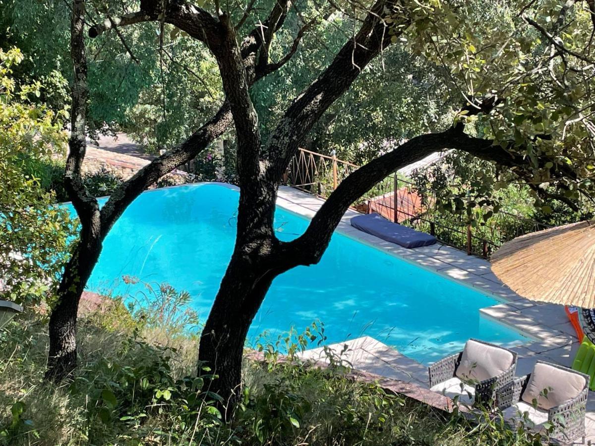 Jolie Annexe Du Mas Dans Le Coeur De La Garrigue Nimoise Villa Ним Екстериор снимка